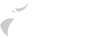 BullHire Logo
